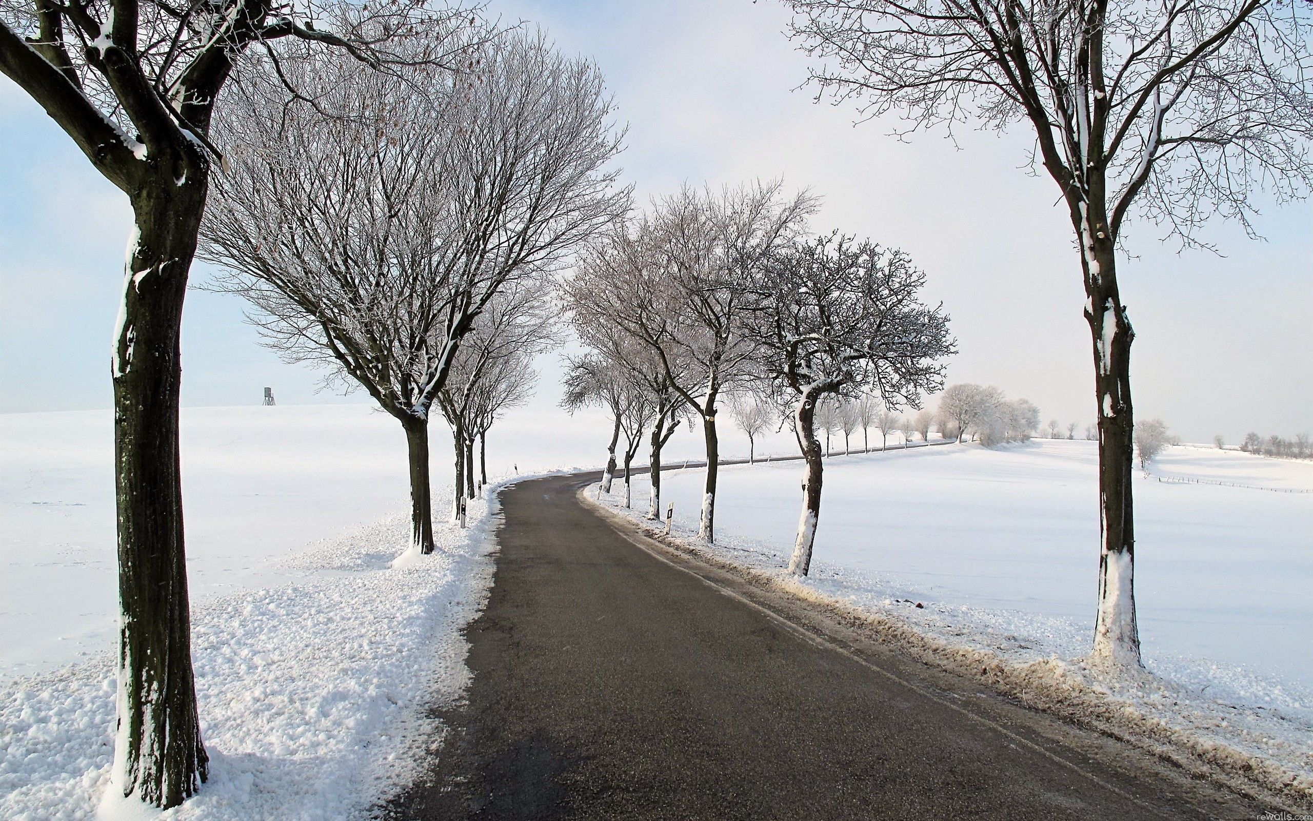 Country Road Snow Fields Trees Wallpaper