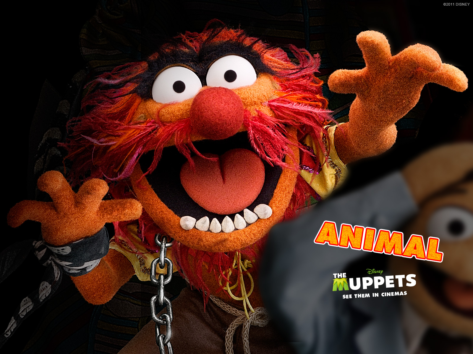 43+] Muppets Animal Wallpaper - WallpaperSafari