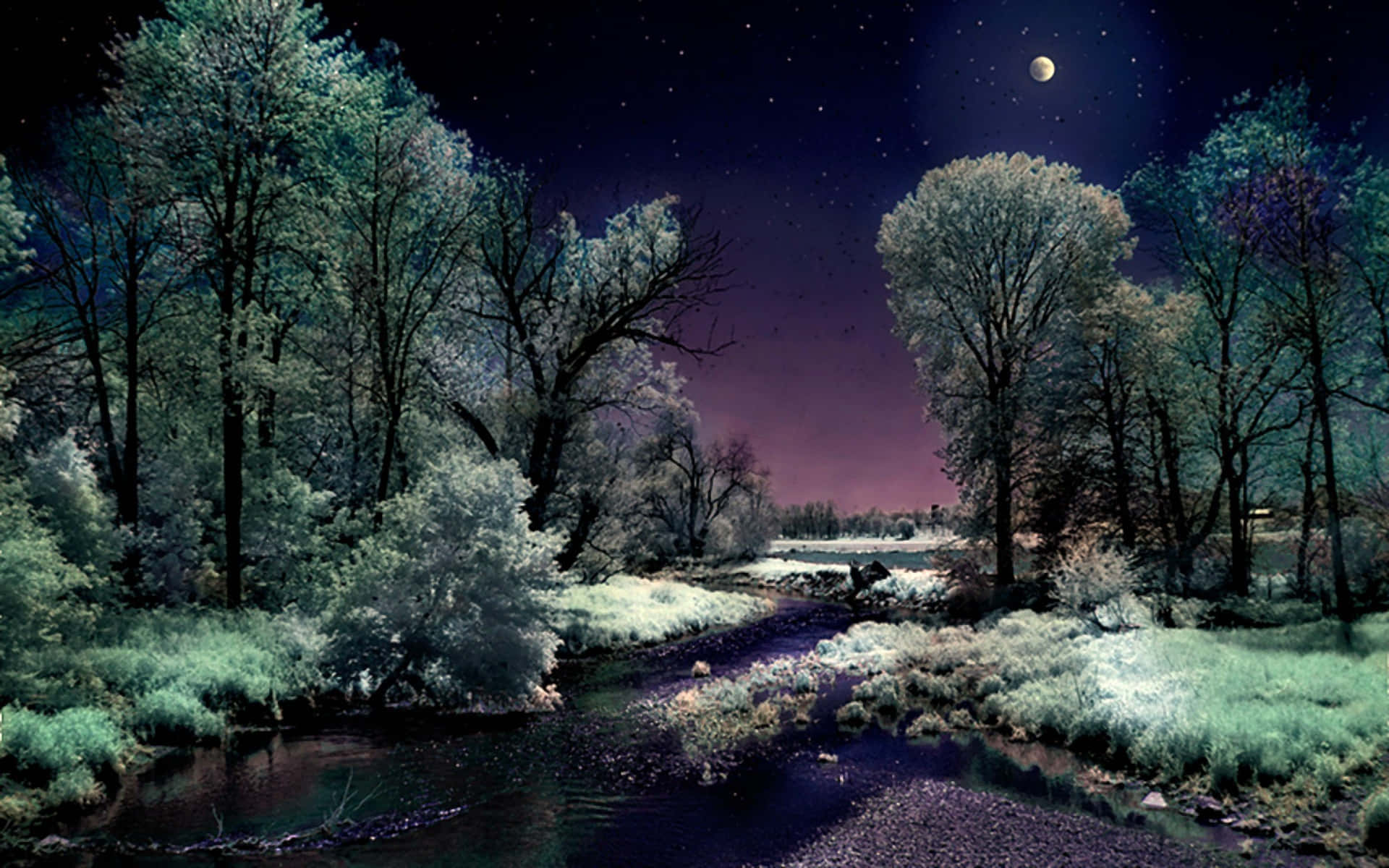 Winter Night Desktop Wallpaper