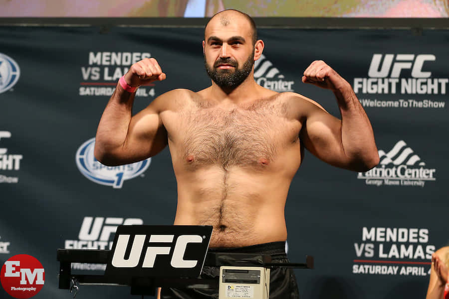 Shamil Abdurakhimov Wallpaper