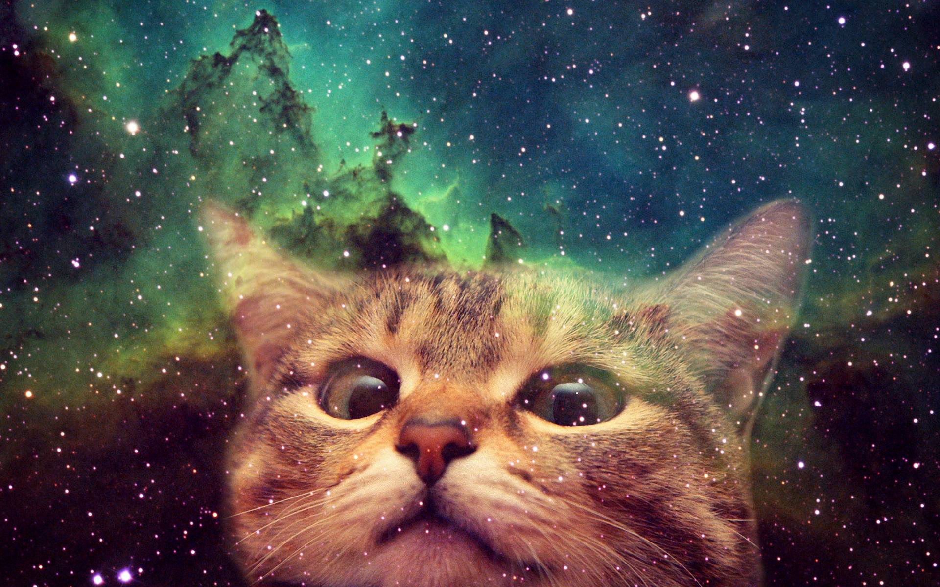 Awesome Cats In Space Wallpaper Caveman Circus