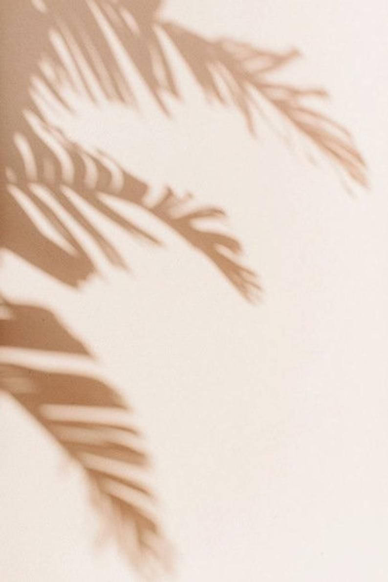 Top Beige Aesthetic Phone Wallpaper Full HD 4k To Use