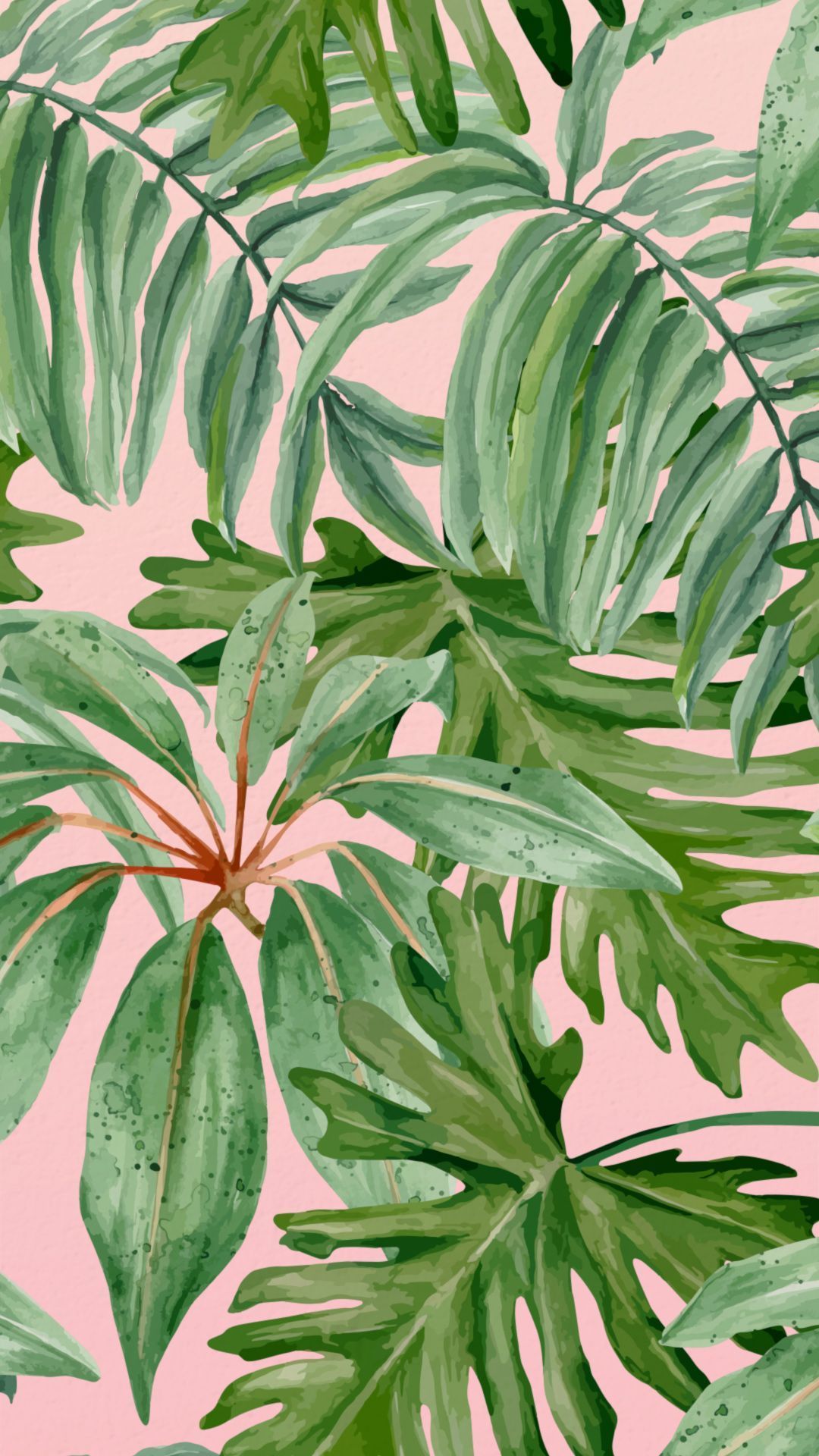 Green Plant Aesthetic Wallpaper On