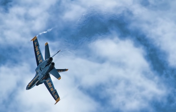 Wallpaper Blue Angels Aircraft Aviation