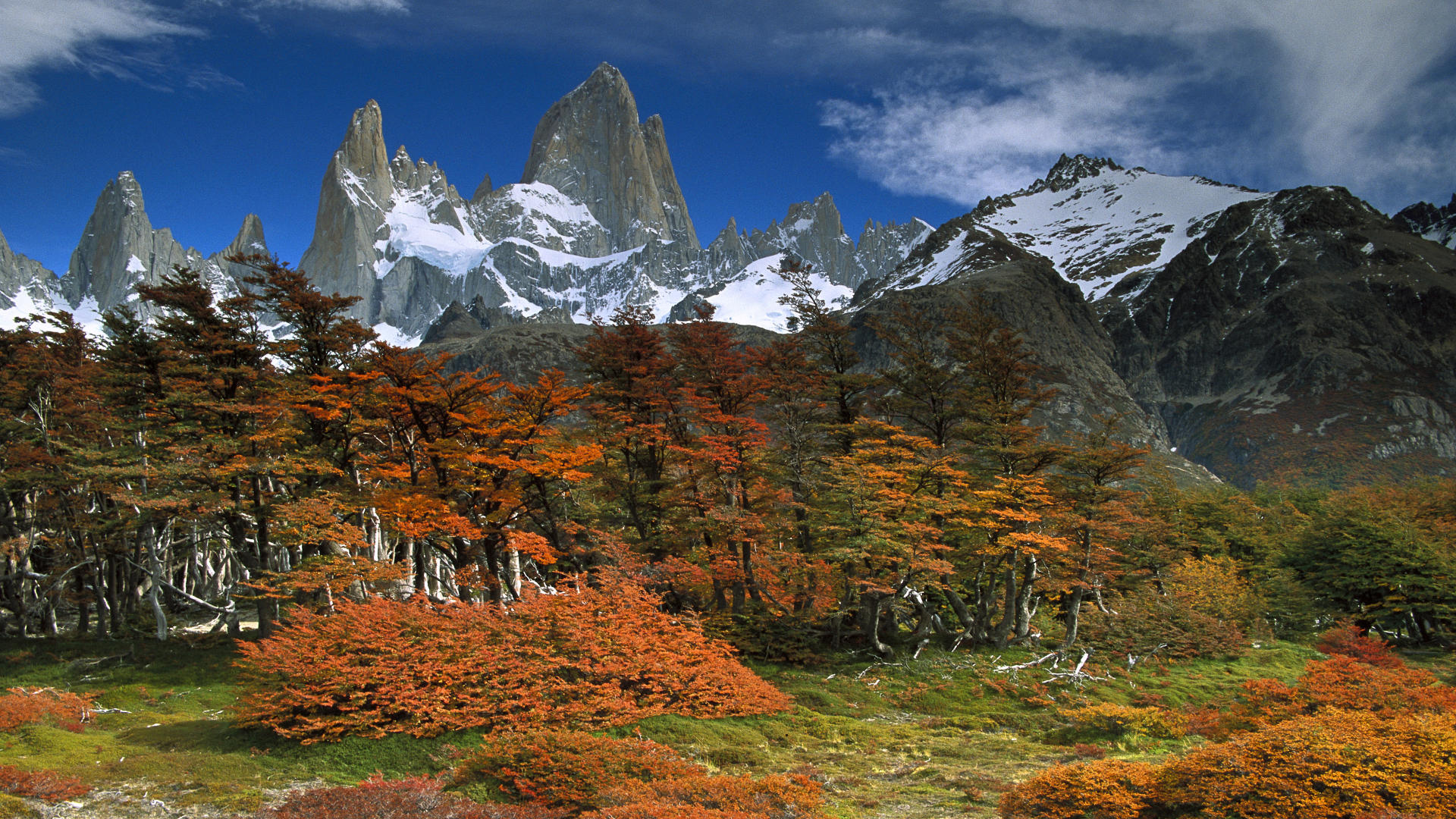 Cool Background Background Park Patagonia Argentina National