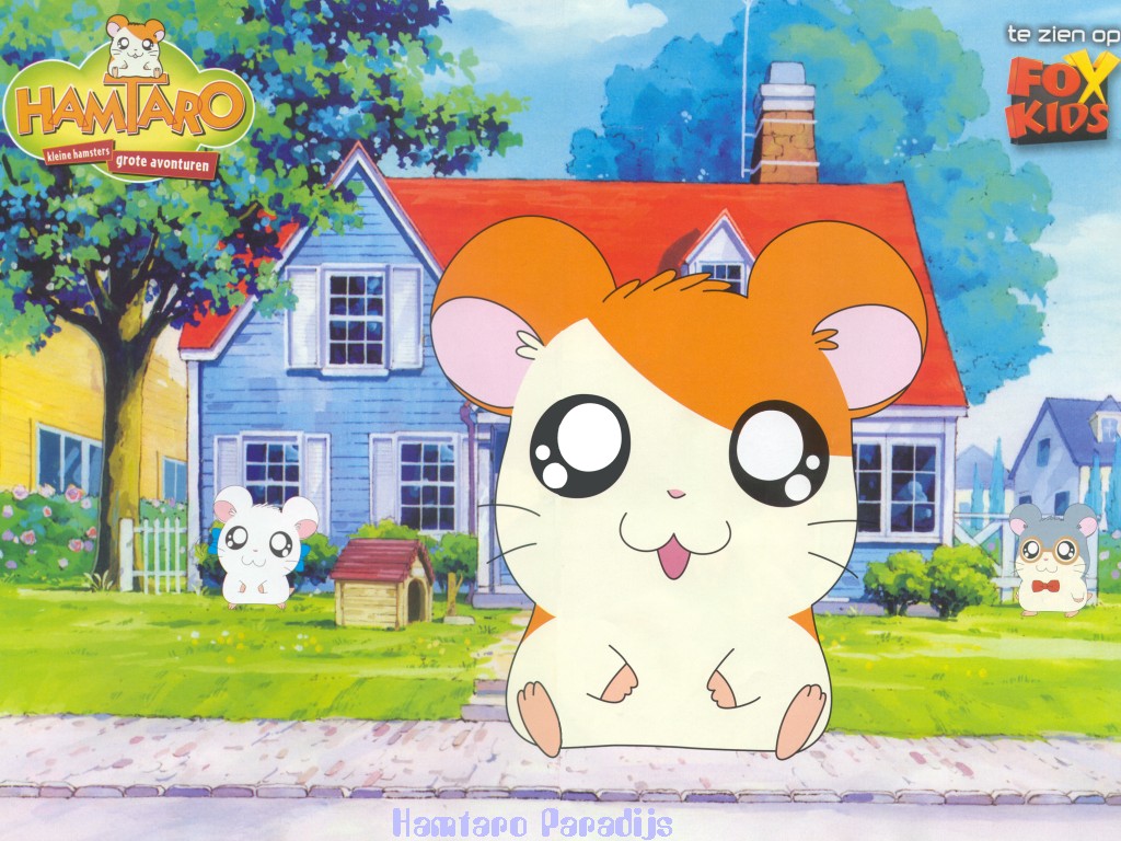 Hamtaro Wallpaper