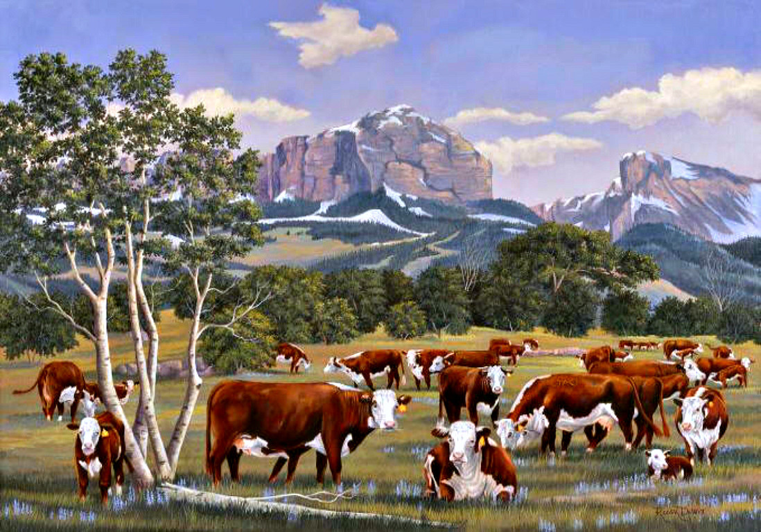 Beautiful Cow HD Wallpaper Sa