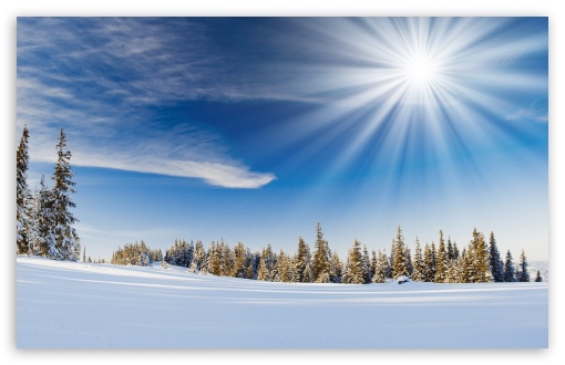 Winter Sunlight HD Desktop Wallpaper High Definition Fullscreen