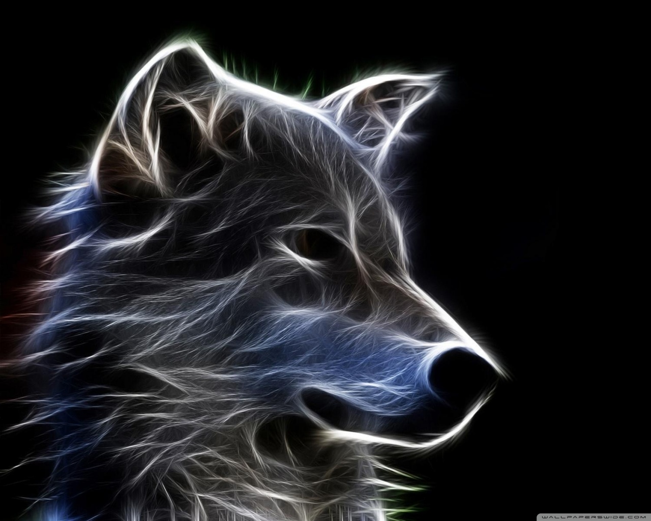 Abstract glowing wolf on a black background