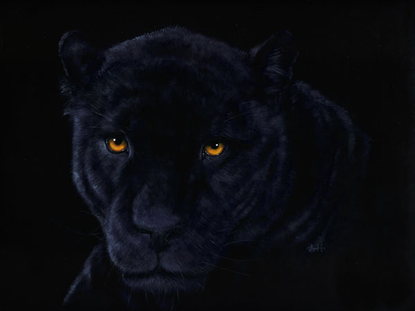 Black Panther Green Eyes Original For