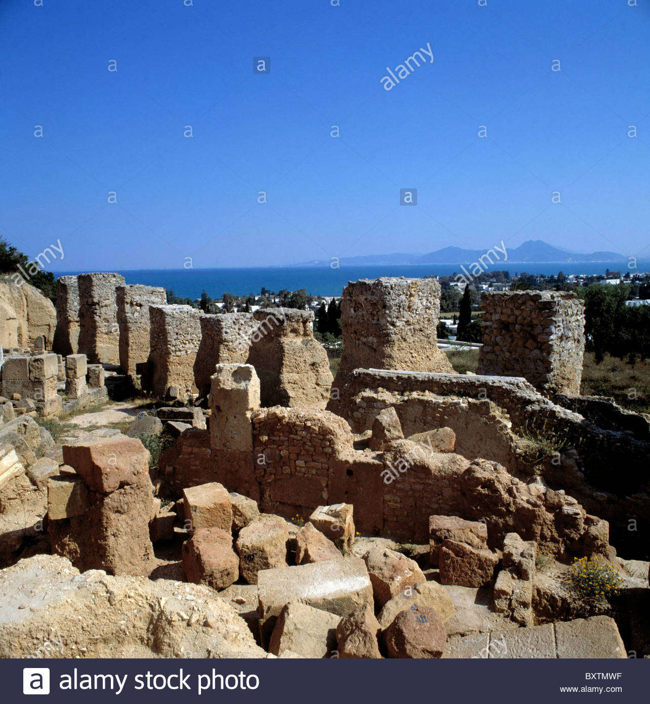 [39+] Carthage Background | WallpaperSafari
