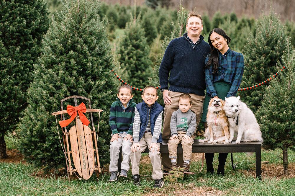 Snickers Gap Christmas Tree Farm Family Mini Sessions Round Hill