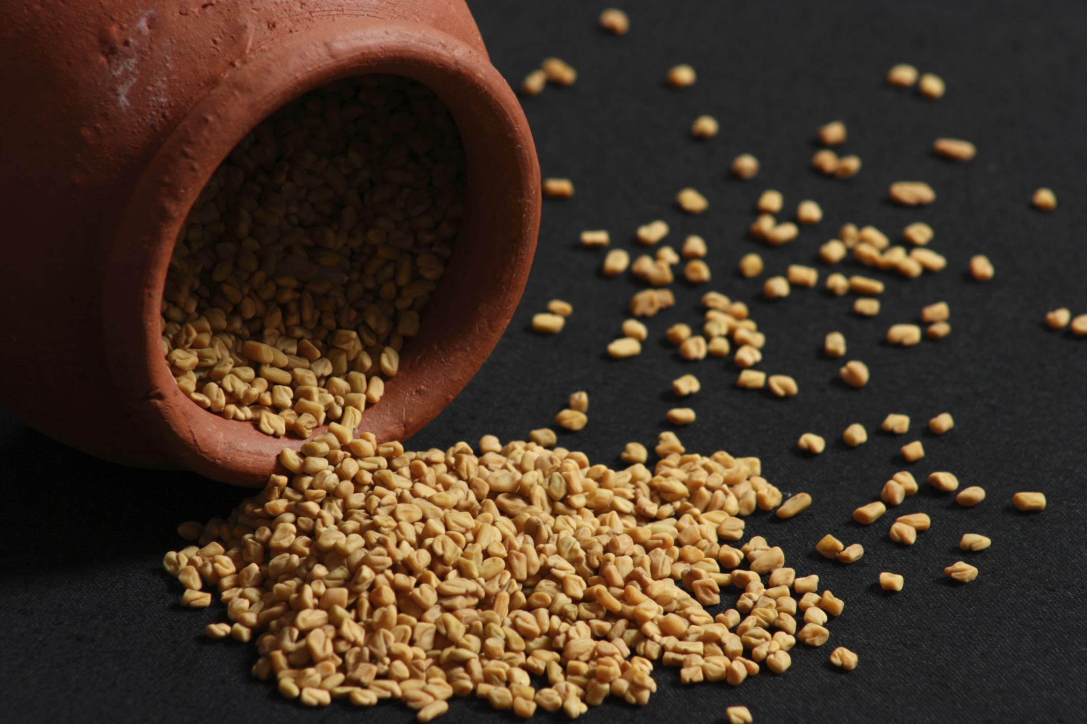 Fenugreek Wallpaper