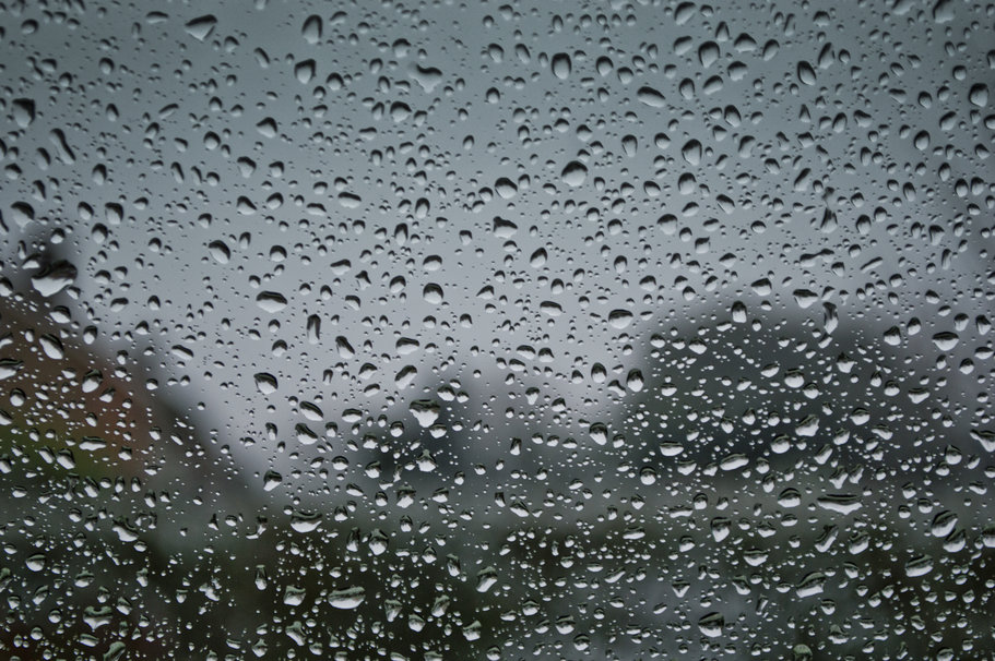 Focused Rain On A Window Wallpaper