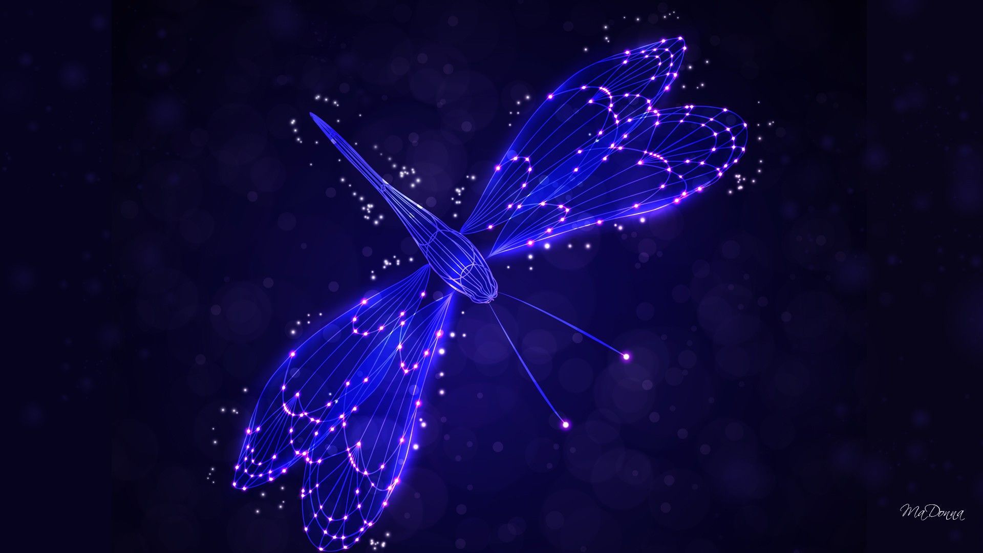 Dragonfly Background