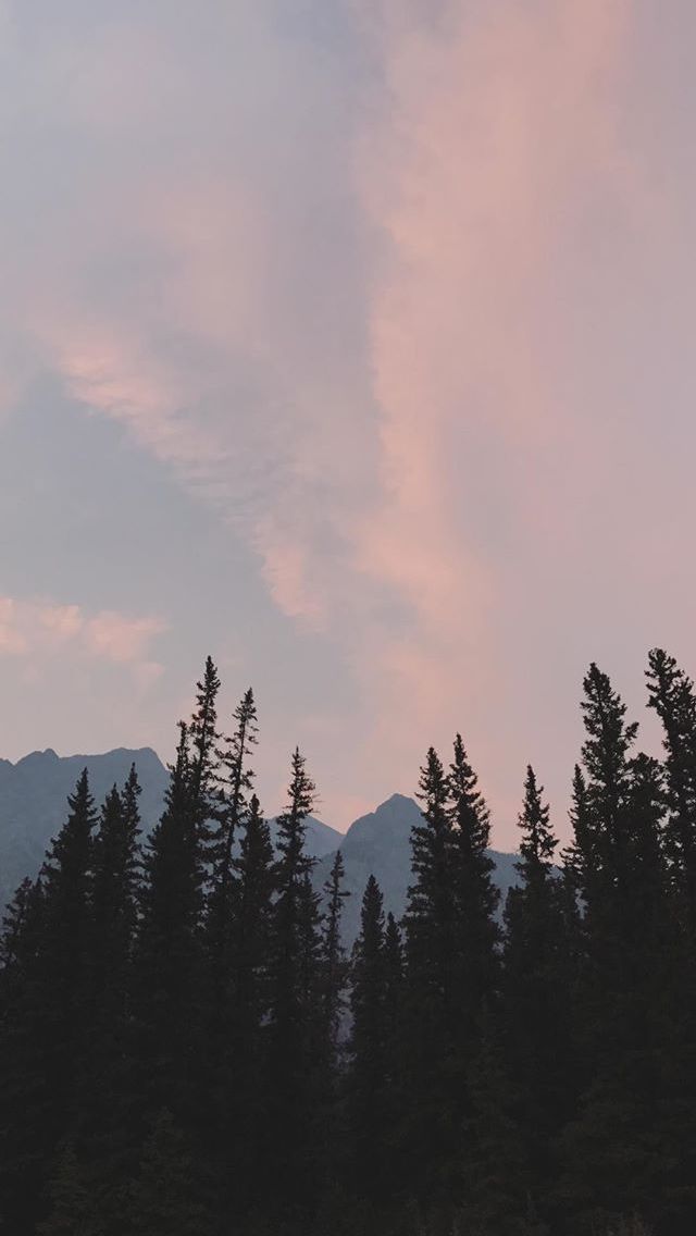 Shiloh Dynasty Lockscreen Wallpaper Teahub Io