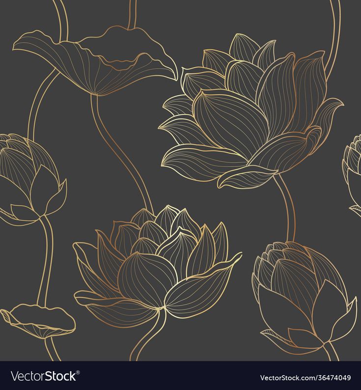 Gold Line Seamless Luxury Lotus Wallpaper On Dark Background