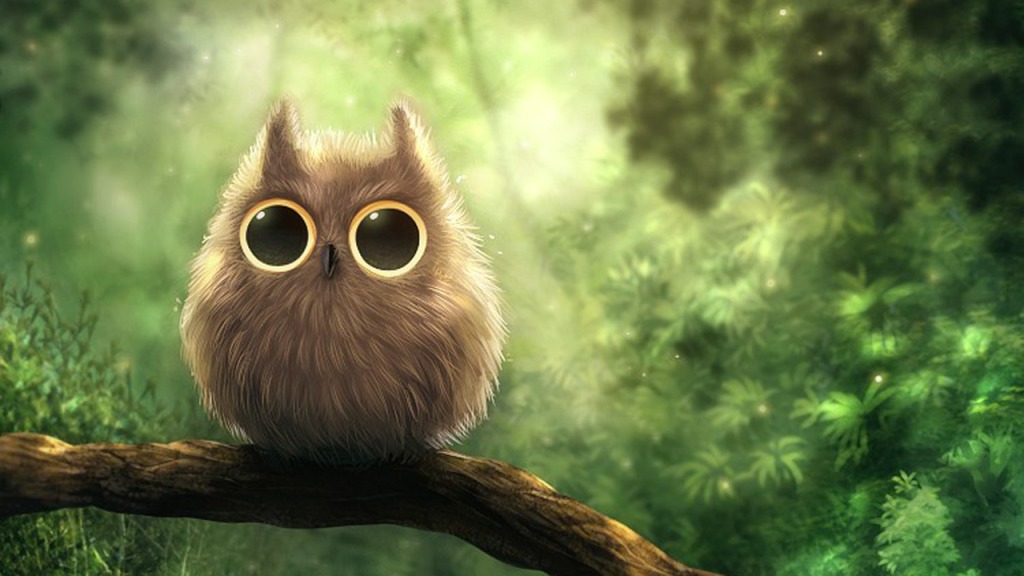 Cute Owl Wallpaper On