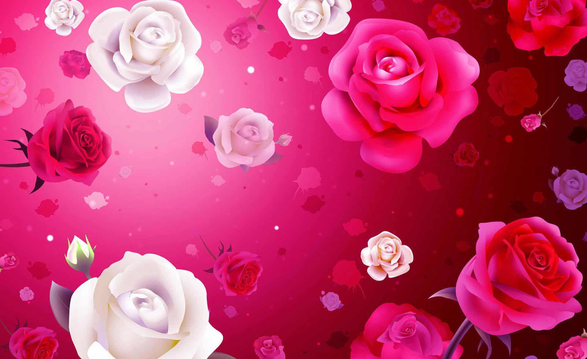 HD Wallpaper Valentines