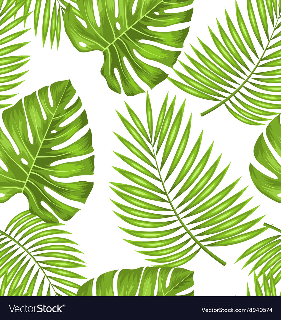 Seamless Wallpaper with Green Tropical Leaves for Vector Image