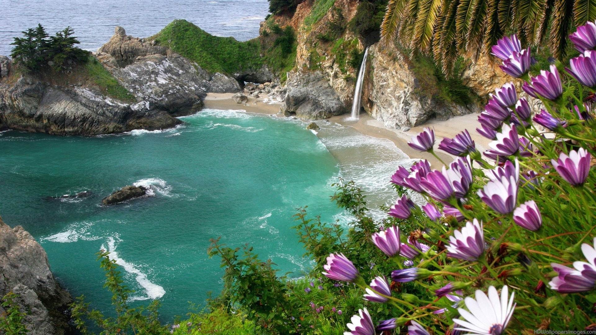 Beautiful Nature Wallpaper