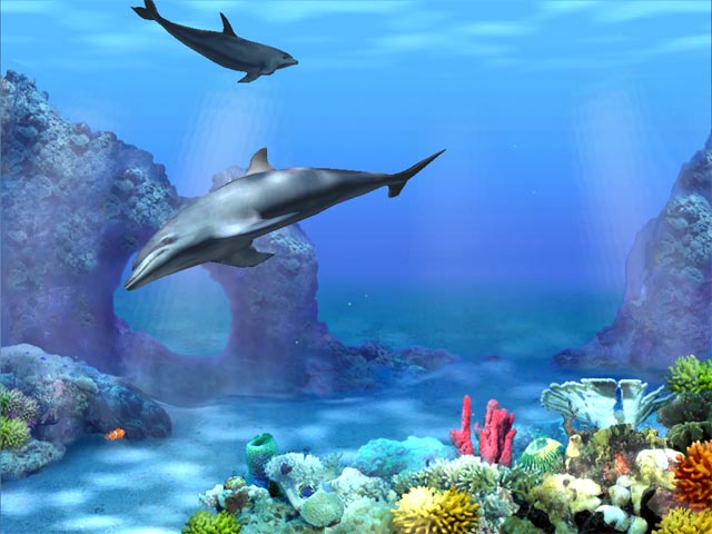 Living 3D Dolphins screensaver 640x480
