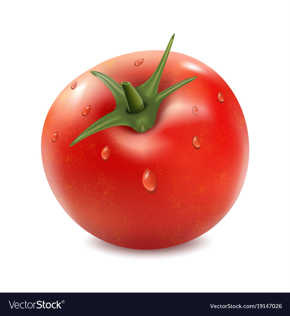 Tomato Isolated On The White Background Royalty Vector