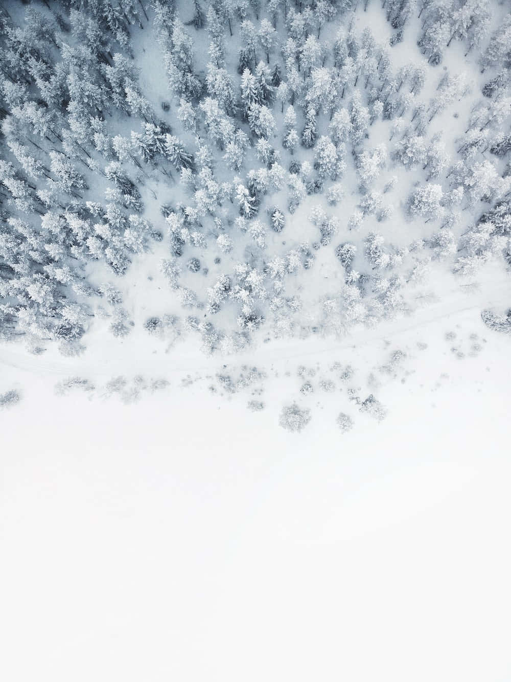 Winter S Gift Of Beauty Wallpaper