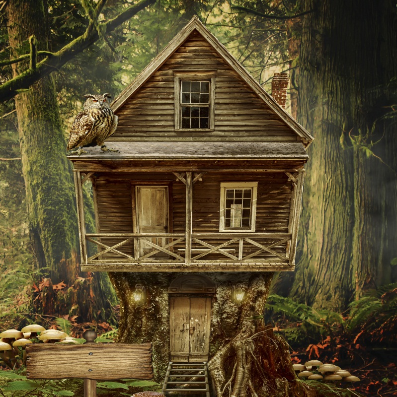 Wood Hut In Forest Backdrop Tree Owl Building Background Studio