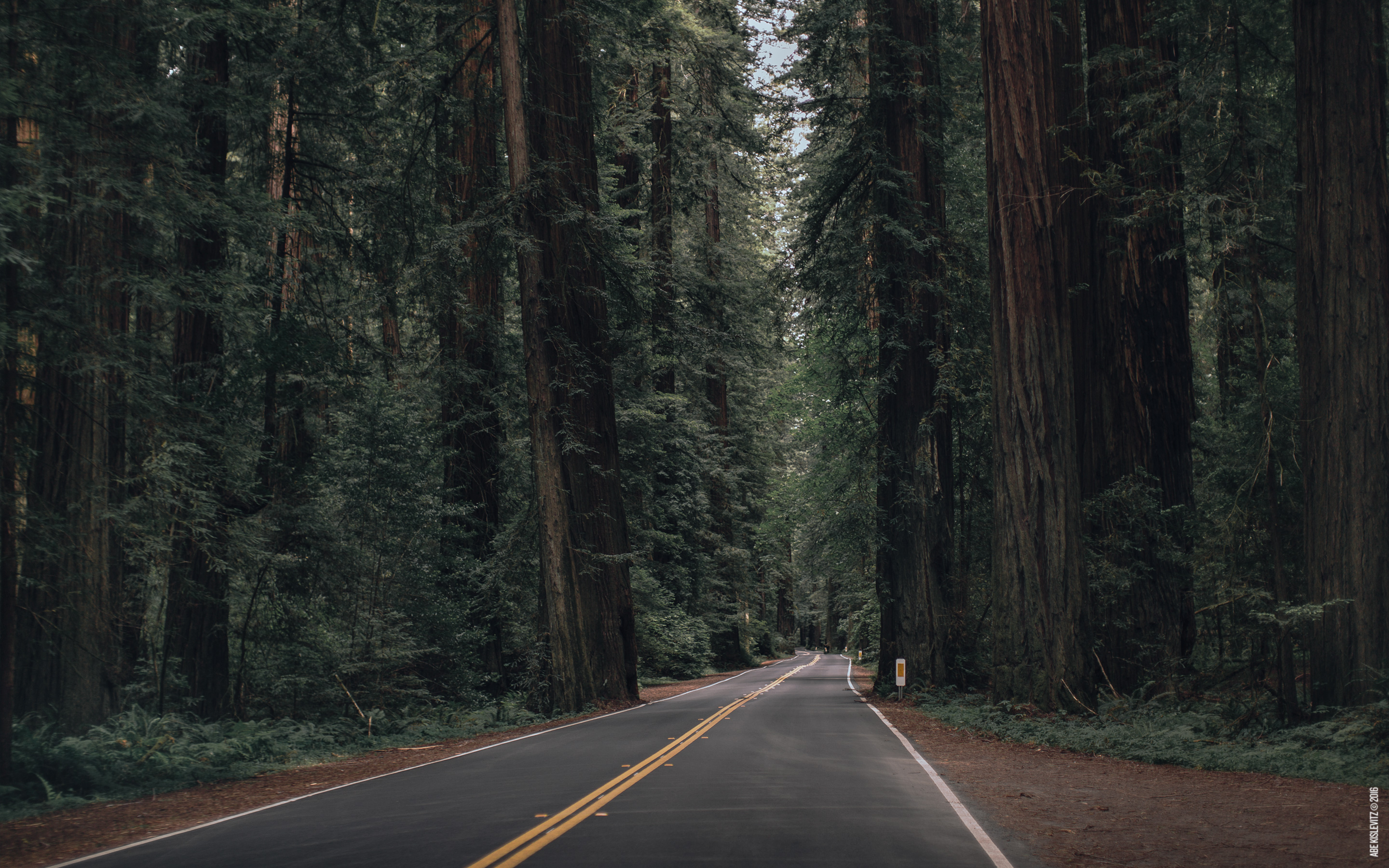 Wallpaper Of The Month California Summer