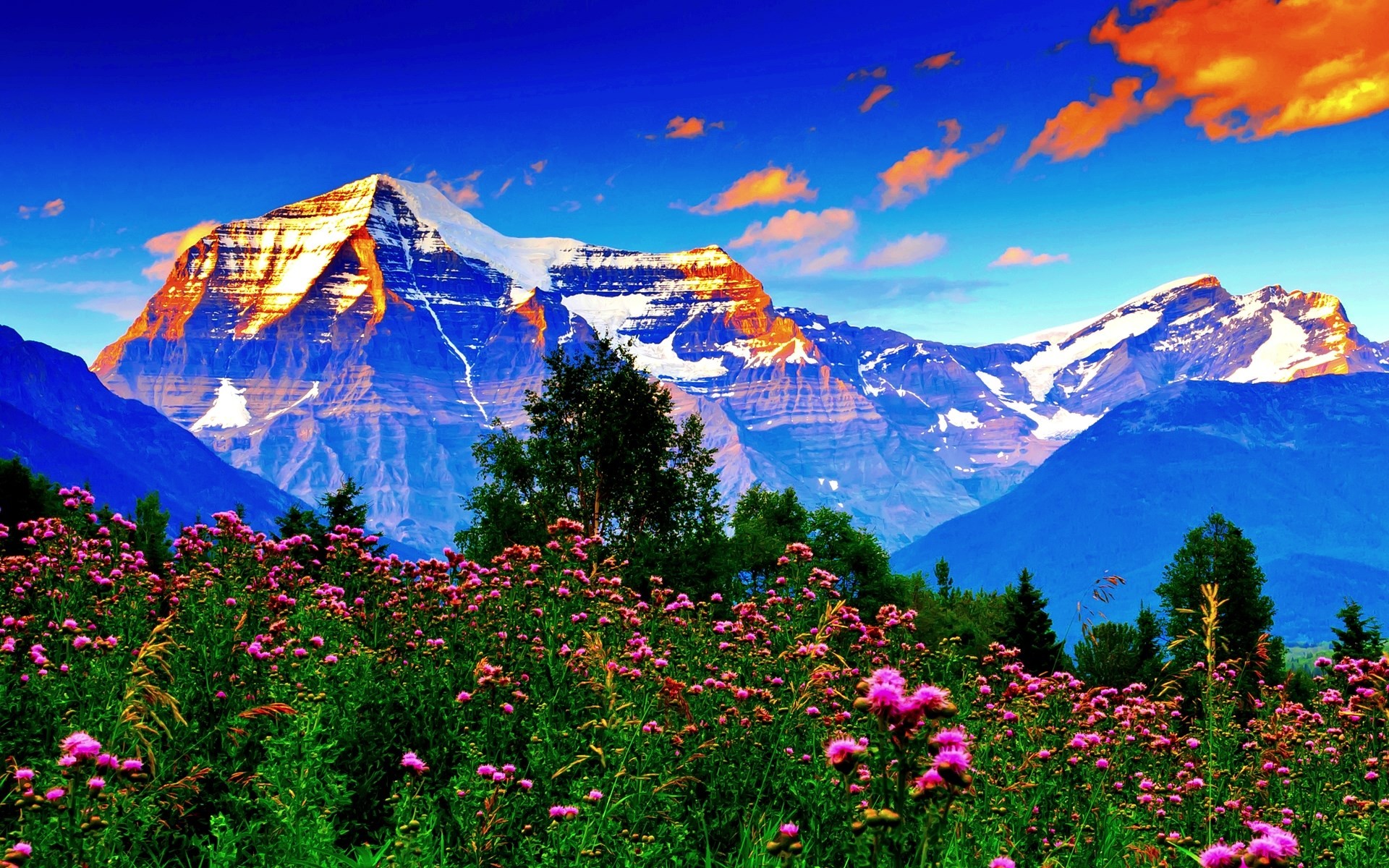 Computer Desktop Wallpaper