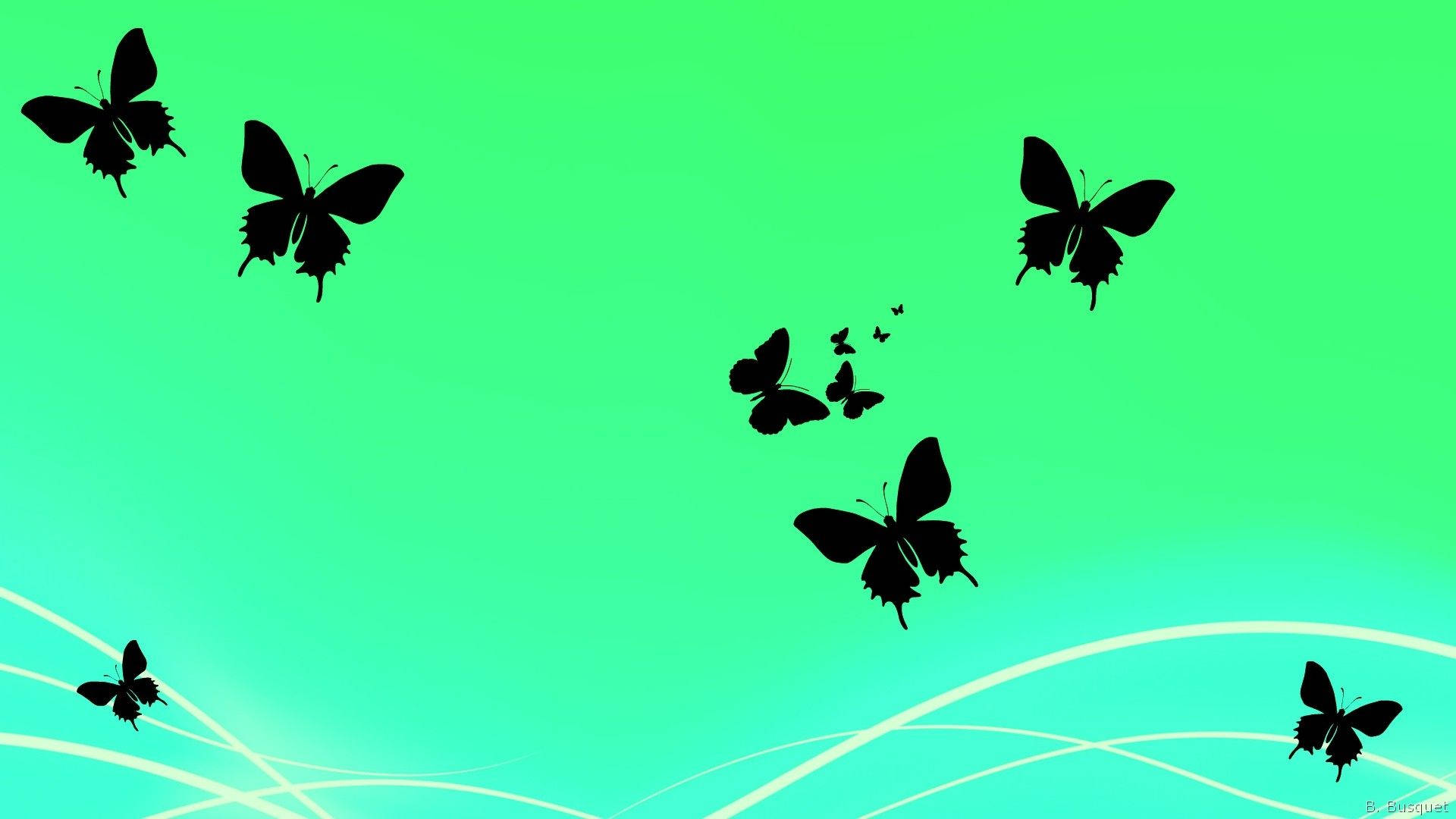 Butterfly Aesthetic Wallpaper