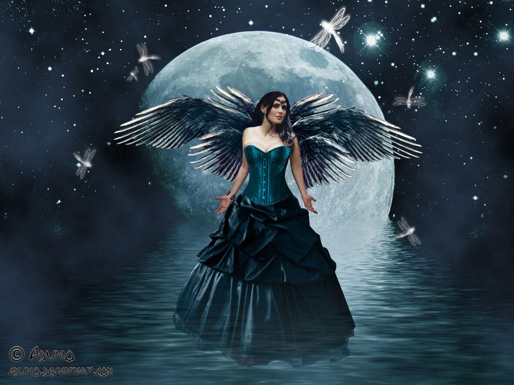Fairy Pictures On Wallpaper And Background Collection