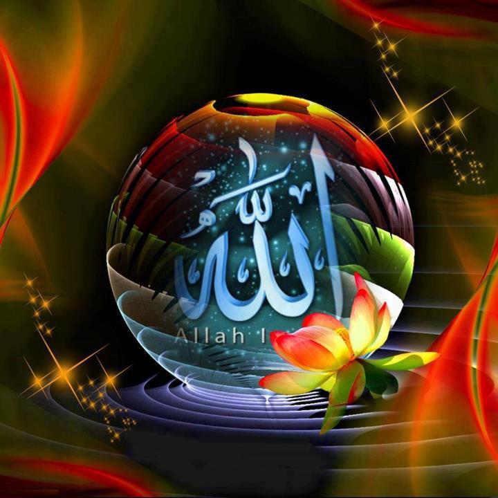 Allah Name Image Pictures Wallpaper