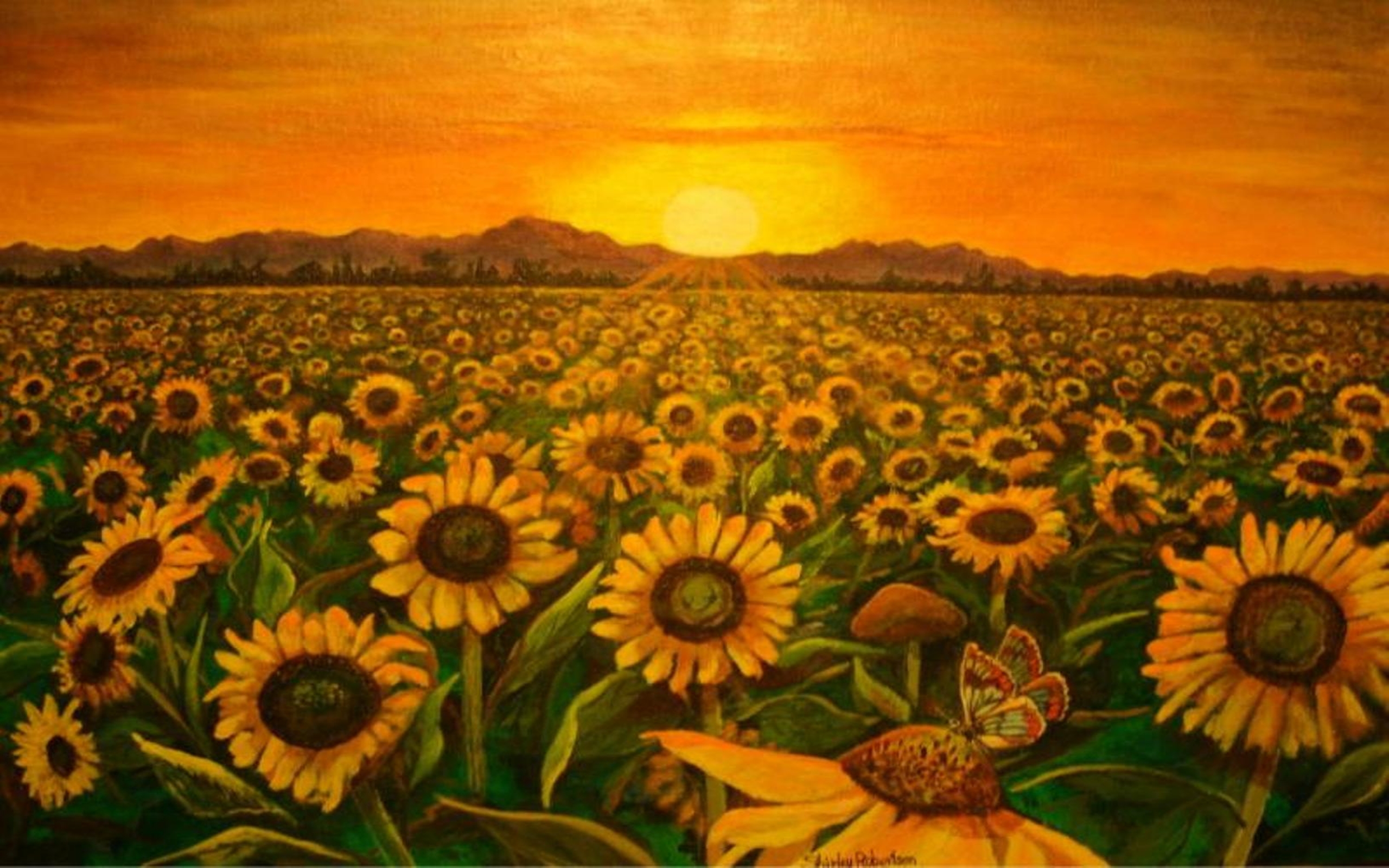 Sunflower Field Sunset Beautiful Wallpaper HD Flowers