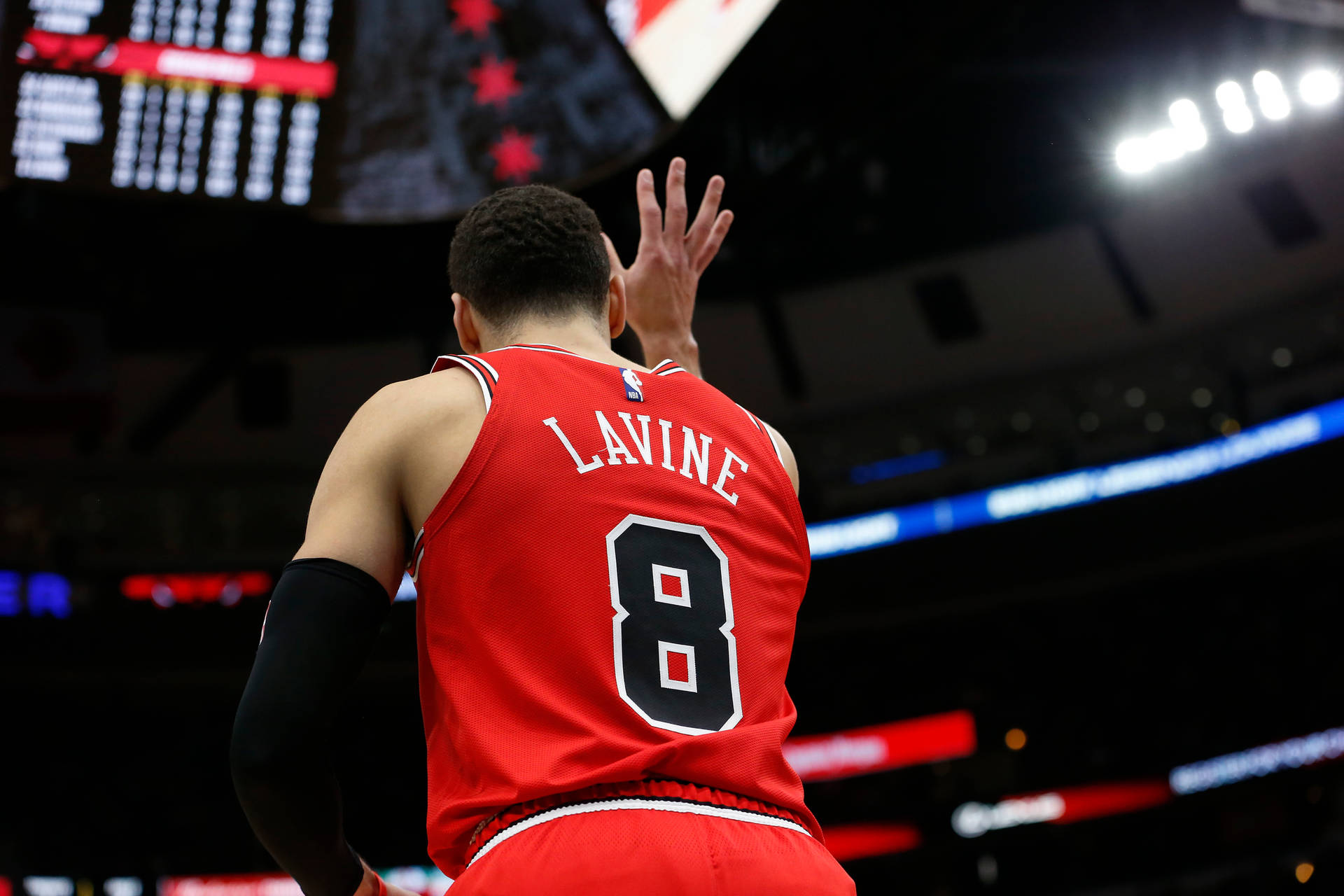Lavine Wallpaper