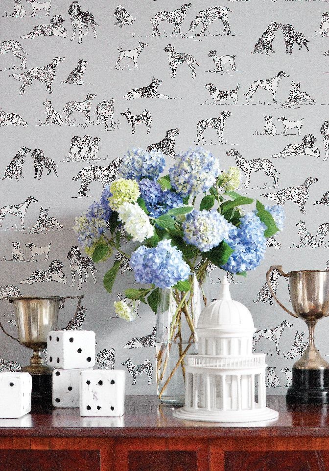 Cute Wallpaper Hunting Dogs Thibaut Heritage