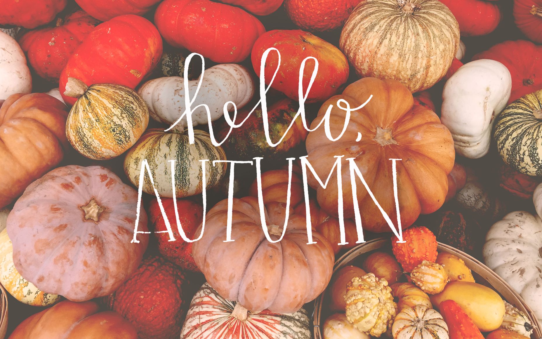 Cool Hello Autumn Background In Fall Wallpaper