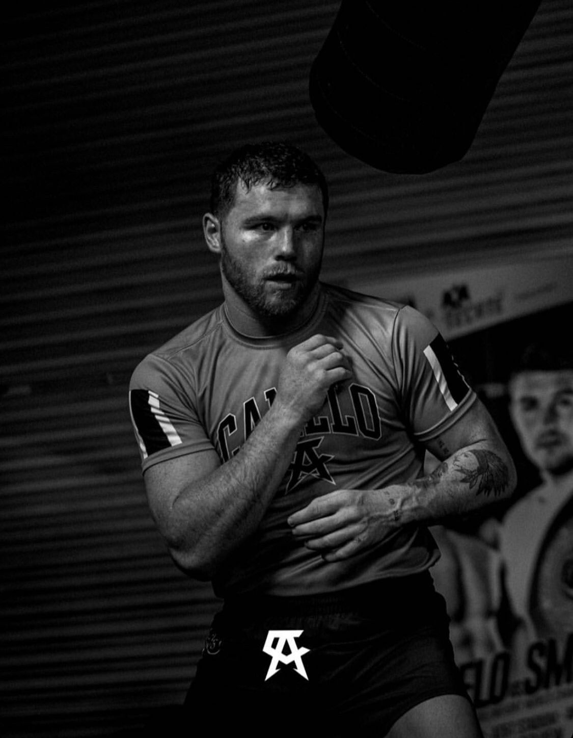 Canelo Alvarez Wallpaper For Mobile Phone Tablet Desktop Computer And