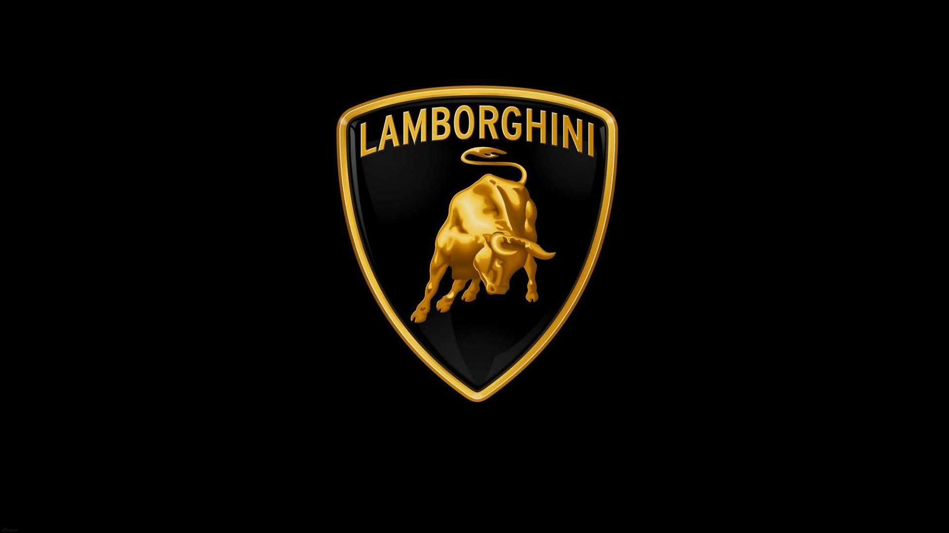 Lamborghini Logo on a Black Background