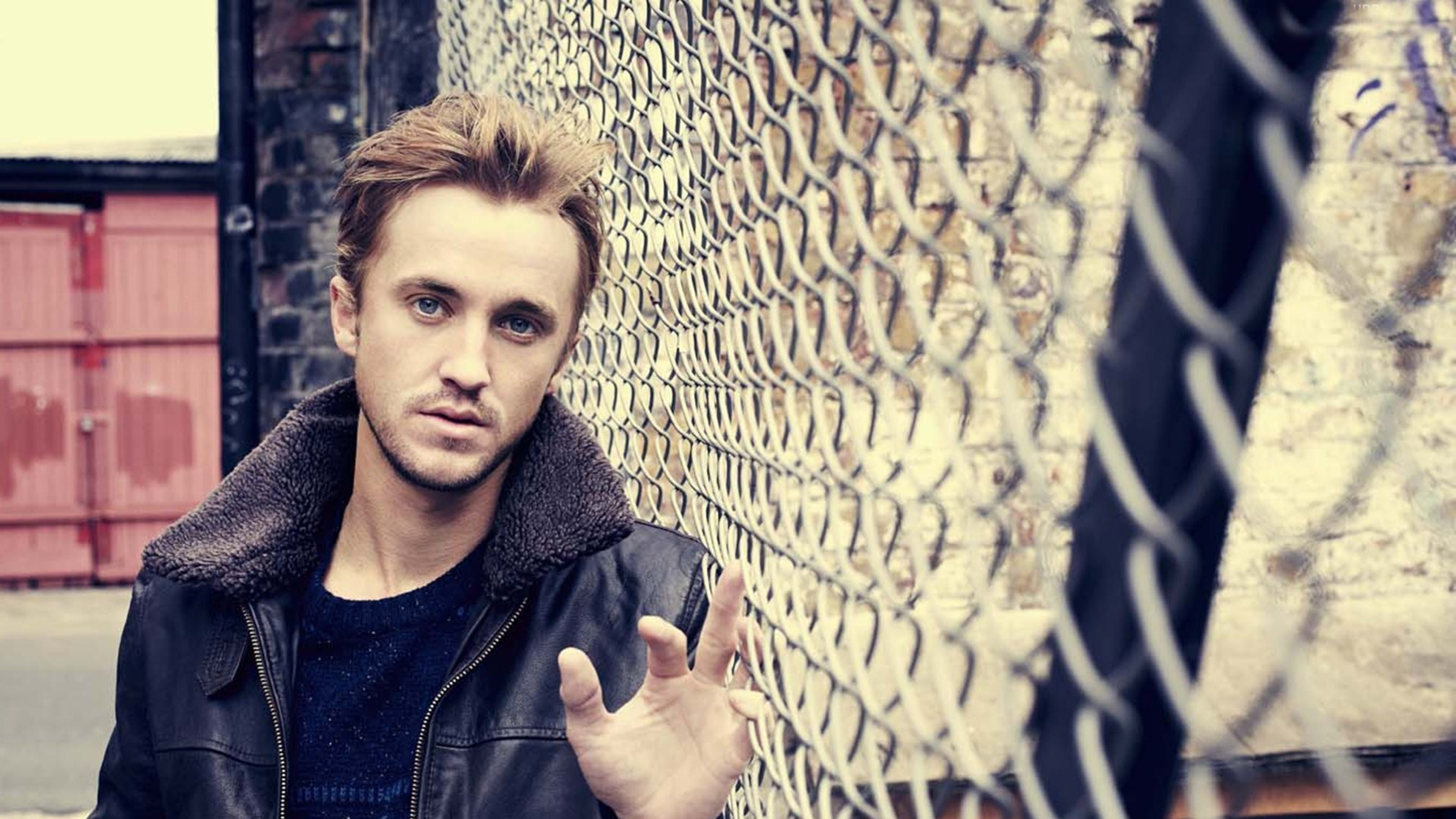 Tom Felton Wallpaper