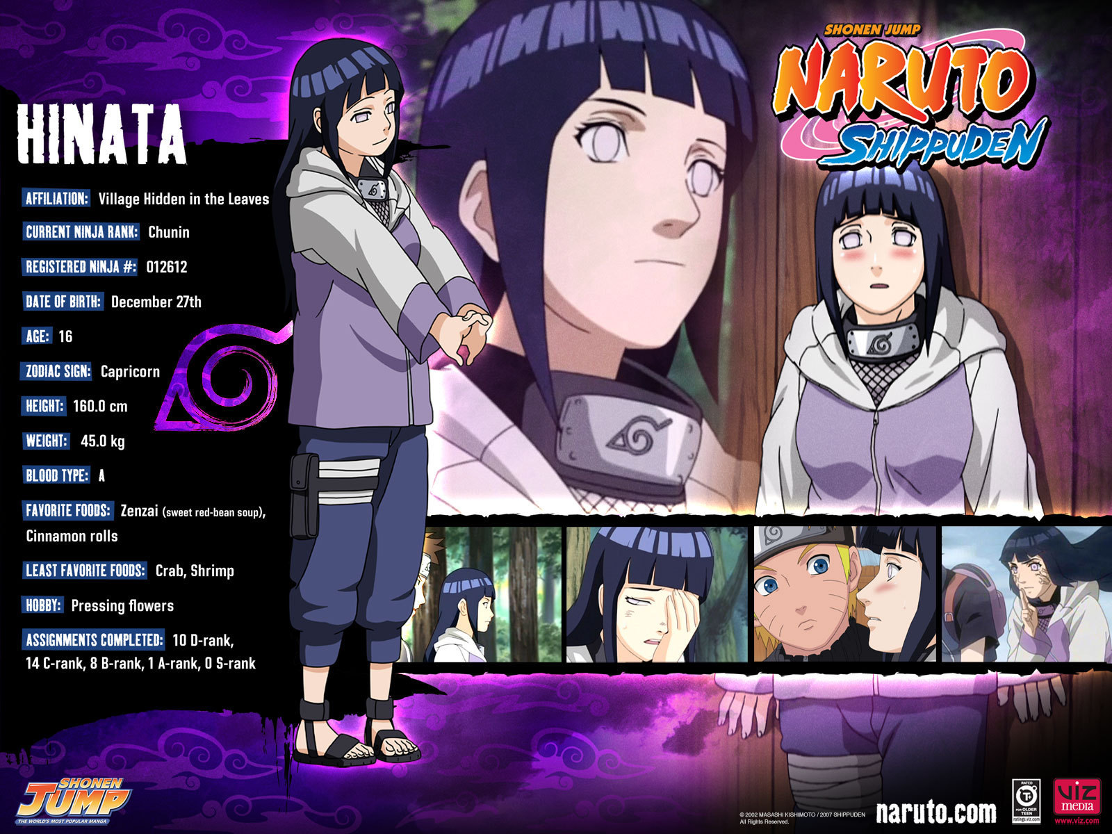 Hinata Naruto Shippuden Wallpaper For Desktop