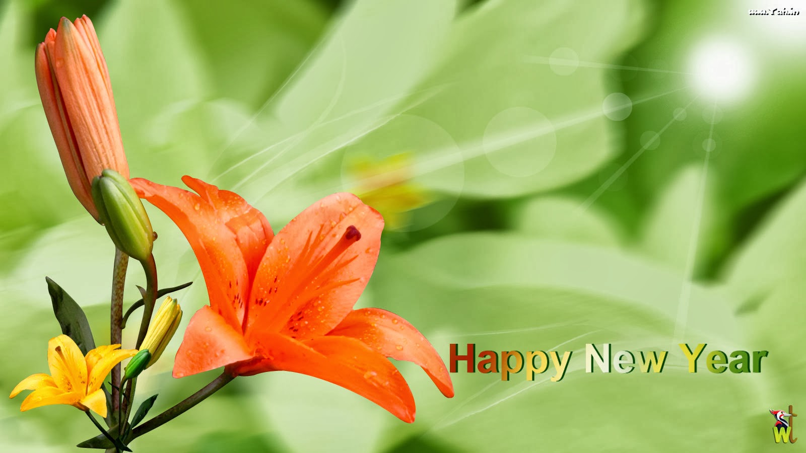 51+] Happy New Year With Flowers Wallpapers - WallpaperSafari
