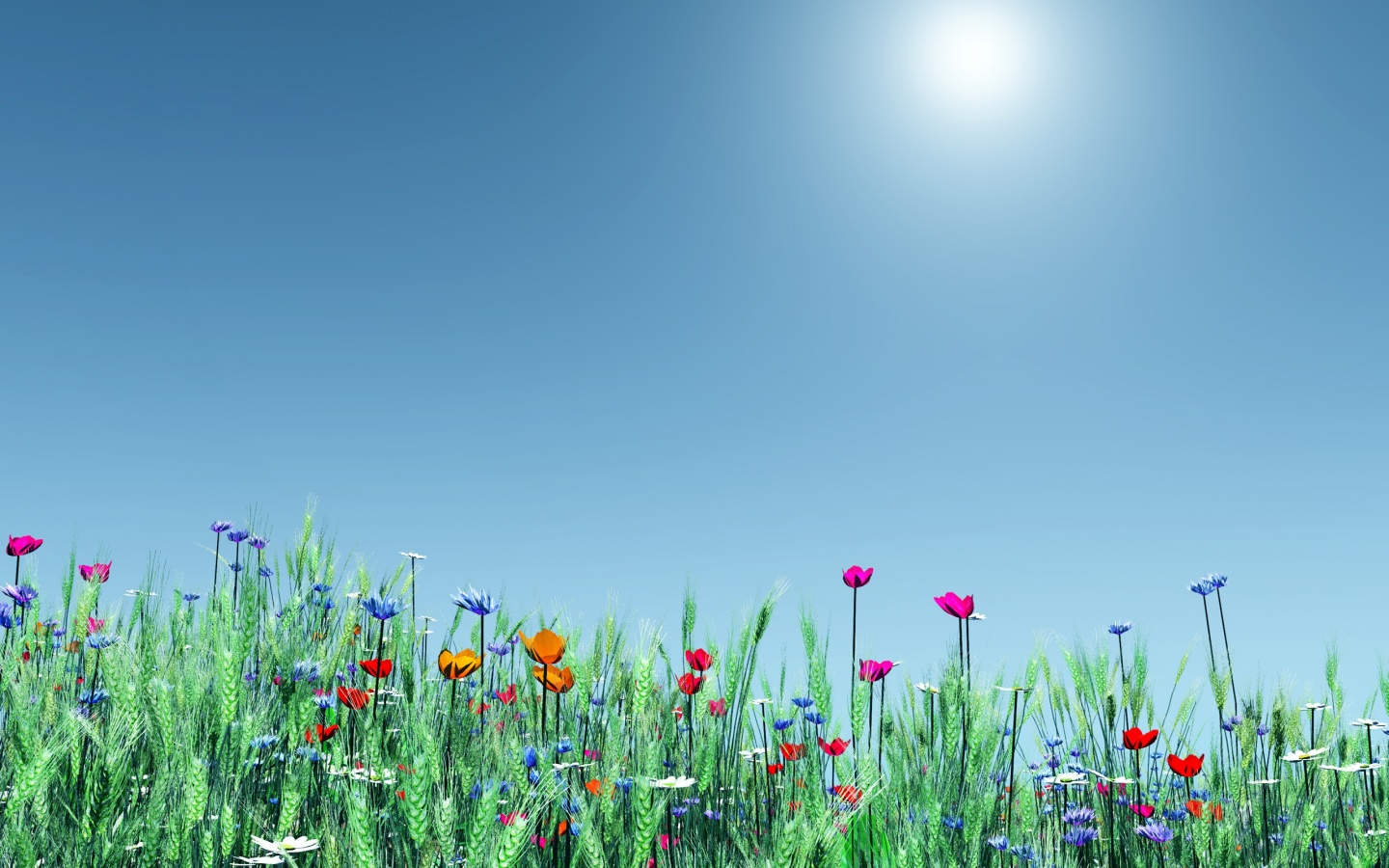 Spring Flowers Desktop Pc And Mac Wallpaper