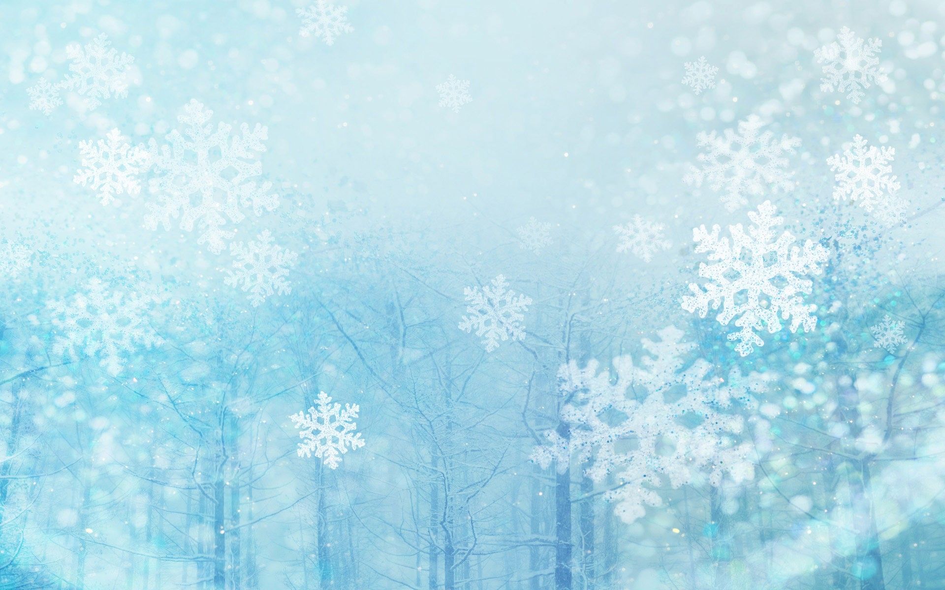 Winter Snow Wallpaper Desktop