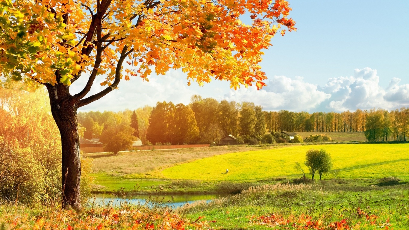 Autumn Landscape Wallpaper