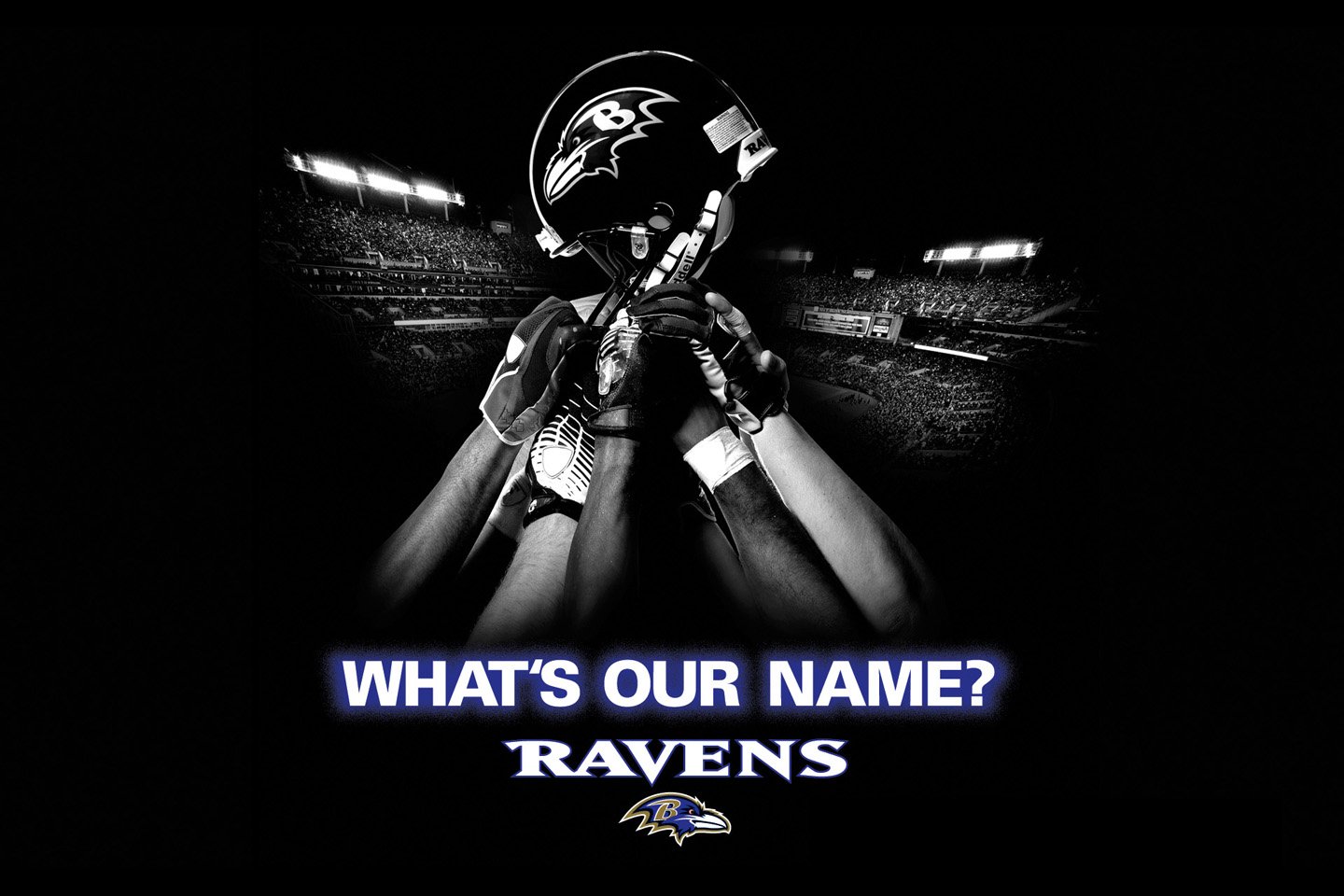  Baltimore Ravens desktop image Baltimore Ravens wallpapers 1440x960