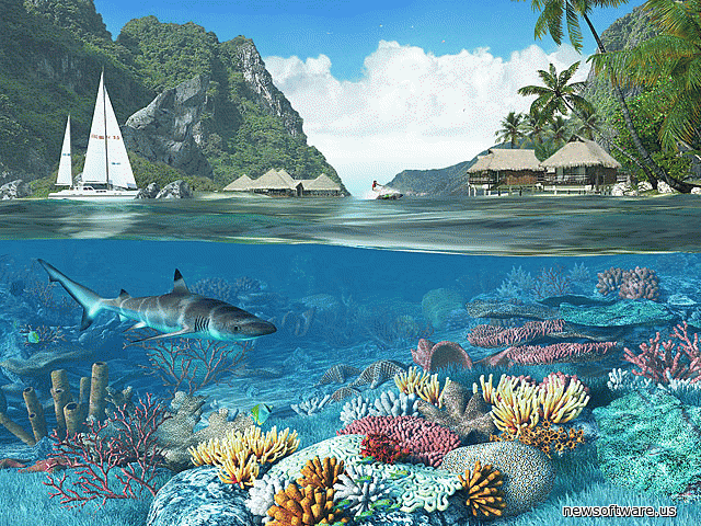  Caribbean Islands 3D Screensaver and Animated Wallpaper free 265Mb