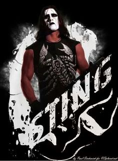 Sting Wwe Wrestling And The Undertaker