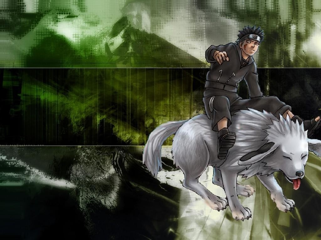 Kiba Anime Wallpaper 19282 Wallpapers HD Hdpictureimages 1024x768